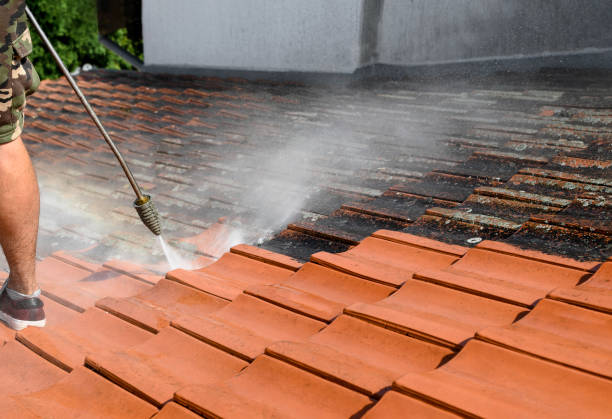 Best Pressure Washing Company Near Me  in Dyer, IN