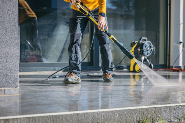 Best Roof Power Washing Services  in Dyer, IN