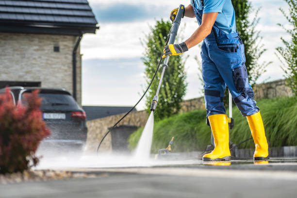 Best Roof Power Washing Services  in Dyer, IN