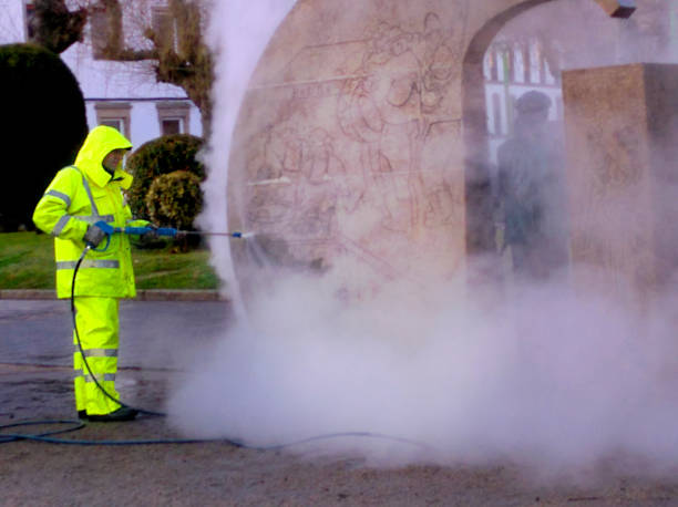 Best House Pressure Washing  in Dyer, IN