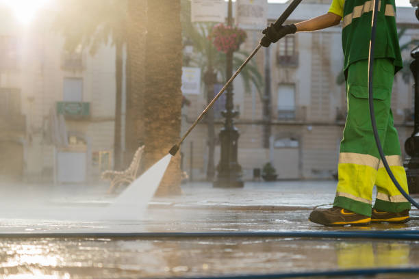Best Fence Pressure Washing  in Dyer, IN