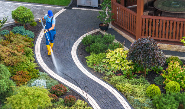 Best Roof Pressure Washing  in Dyer, IN