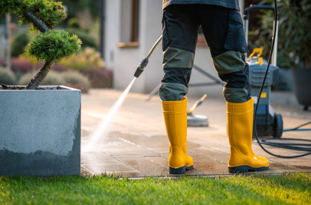 Best Power Washing Near Me  in Dyer, IN